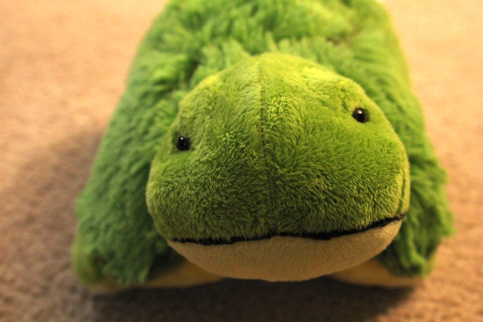 The Pillow Pet Fiasco: The Tragic Life of An Oldest Child - Just